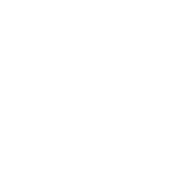 Secure Payments