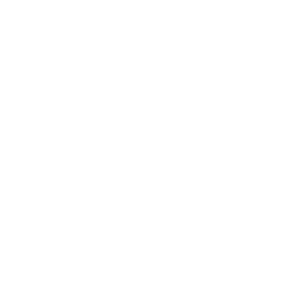 Fast GCC Delivery